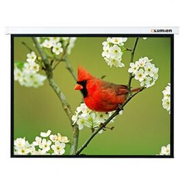  Проекц. экран с электроприводом Lumien Master Control (LMC-100115) 202х280 см 