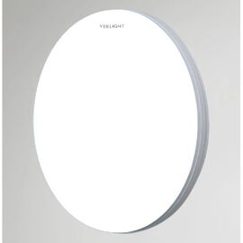  Потолочный светильник Yeelight Porch Ceiling Light C260 YLXDD-0152 
