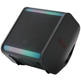  Портативная акустика LG Xboom Stage 301 черный 