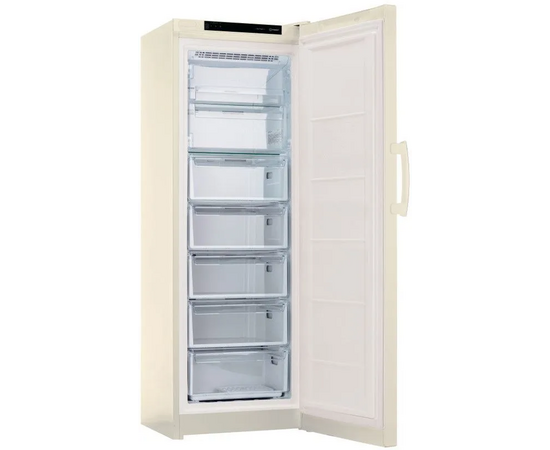  Морозильная камера Indesit DFZ 5175 E 