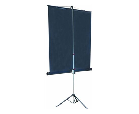  Экран на треноге Lumien 183x244см Master View LMV-100108 4:3 напольный рулонный 