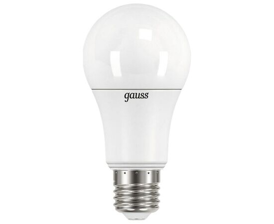  Лампочка Gauss 102502122 A70 22W E27 